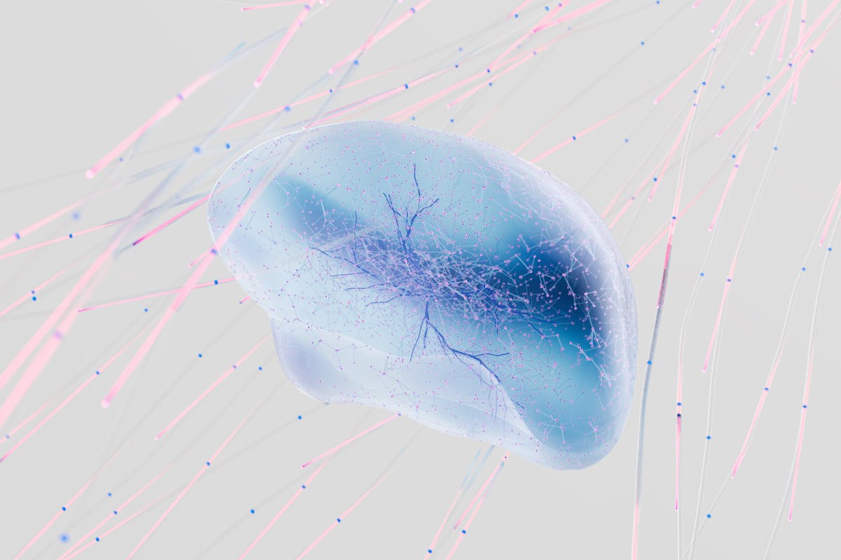 Neural Networks Basics Explained