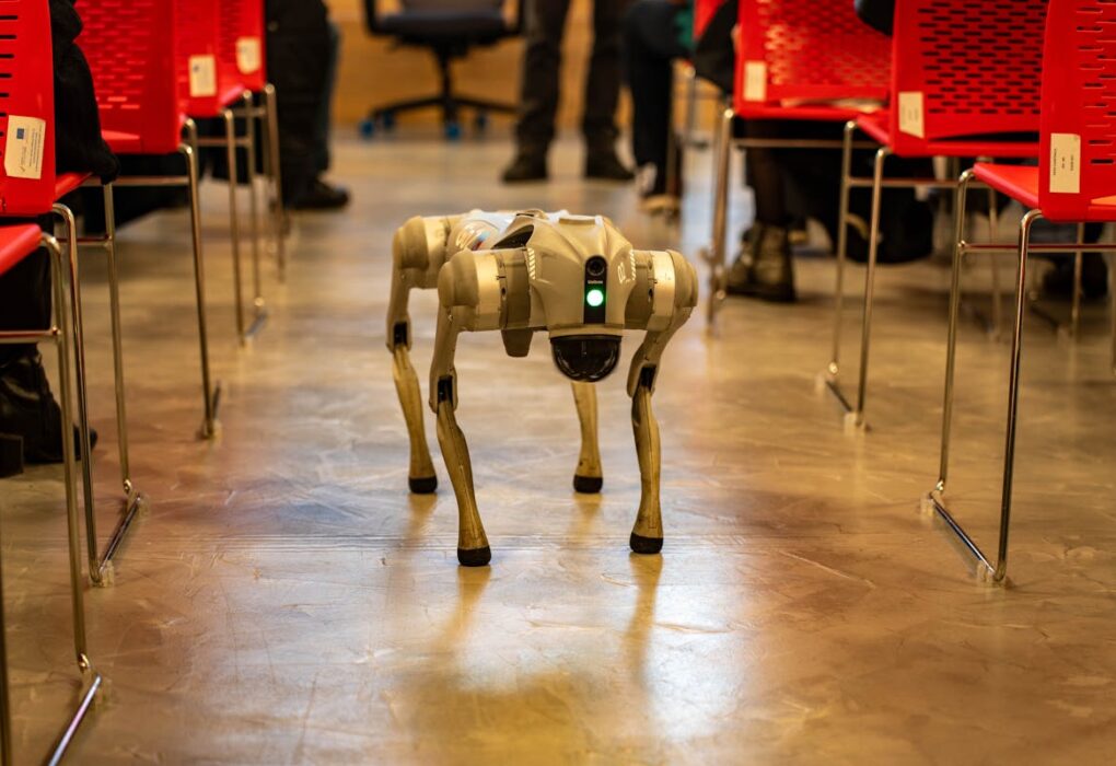 Practical Uses of AI