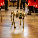 Practical Uses of AI